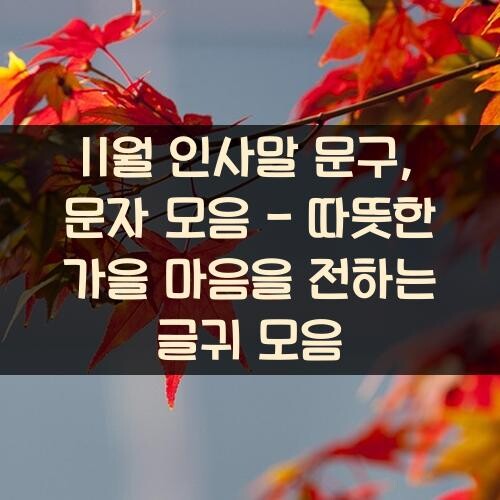 11월 인사말 문구, 문자 모음 - 따뜻한 가을 마음을 전하는 글귀 모음