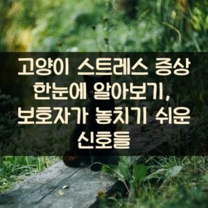 고양이 스트레스 증상 한눈에 알아보기, 보호자가 놓치기 쉬운 신호들