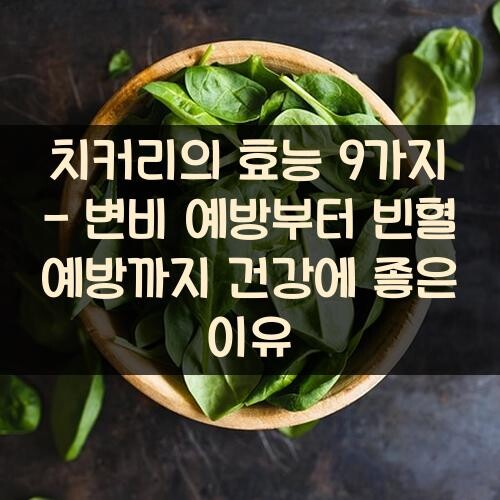 치커리의 효능 9가지 - 변비 예방부터 빈혈 예방까지 건강에 좋은 이유