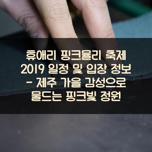 휴애리 핑크뮬리 축제 2019 일정 및 입장 정보 - 제주 가을 감성으로 물드는 핑크빛 정원